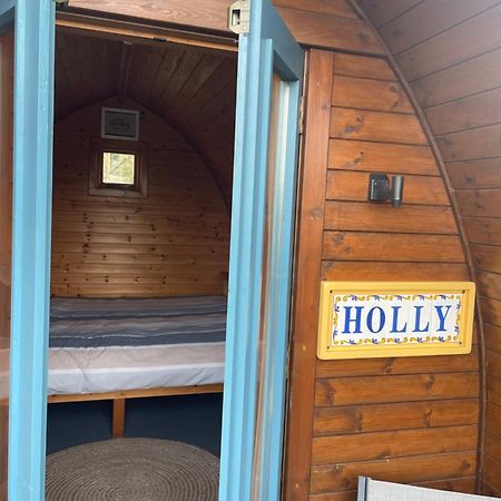 Glamping In The 2Nd Field Hotel Aughrim Ngoại thất bức ảnh